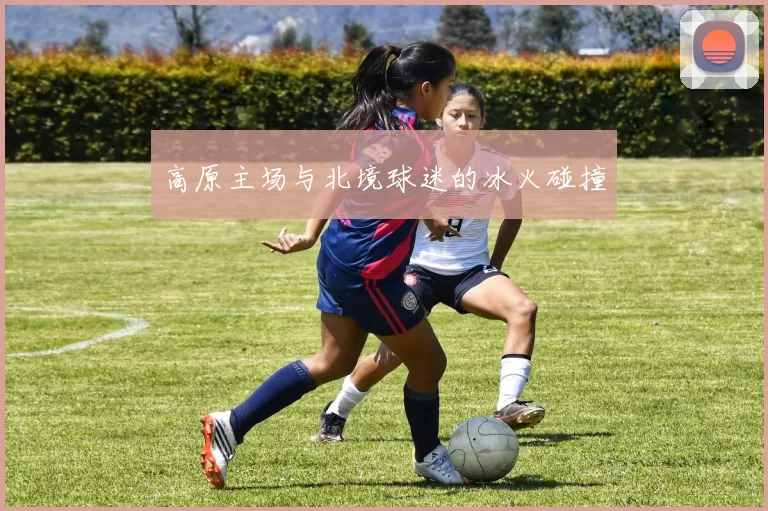高原主场与北境球迷的冰火碰撞