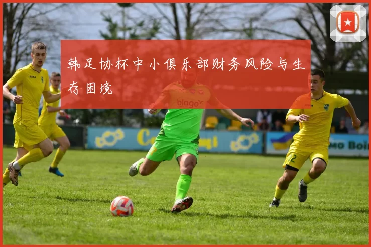 韩足协杯中小俱乐部财务风险与生存困境