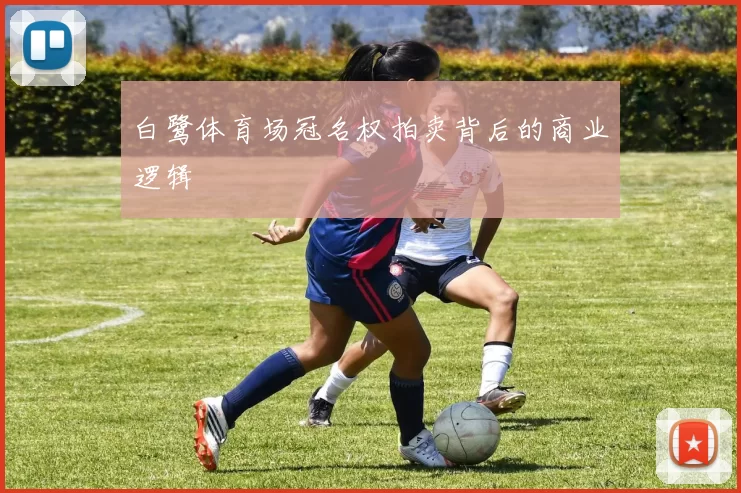 白鹭体育场冠名权拍卖背后的商业逻辑