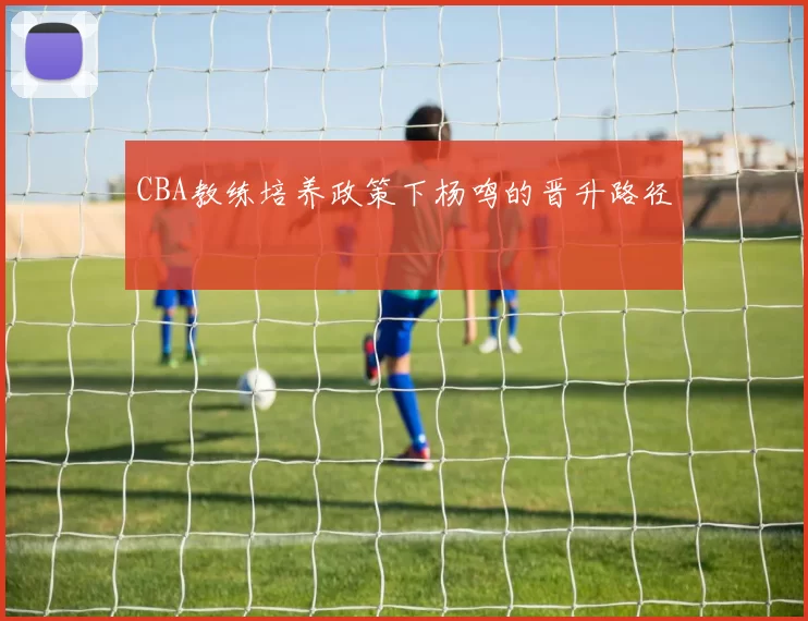 CBA教练培养政策下杨鸣的晋升路径